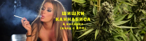 стаф Заволжье