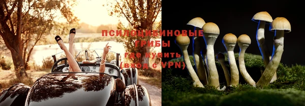 стаф Заволжье