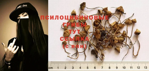 соль ск Заводоуковск
