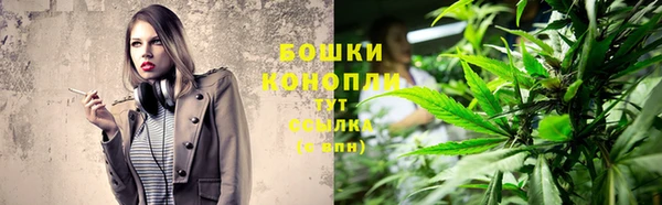 соль ск Заводоуковск