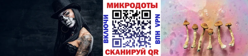 Купить где Бородино Псилоцибиновые грибы мицелий